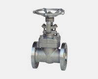 Forged Steel Flange Globe Valve (J41H)