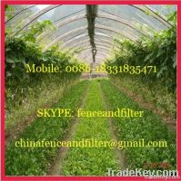 Plastic insect screen used in greenhouse