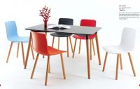 Plastic &amp; Wooden Dining Chair (PP-132D)