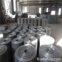 galvnized wire mesh