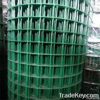 hebei professional PVC coated wire mesh with high quality