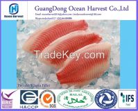 Frozen Tilapia Fillet(Oreochromis niloticus) 