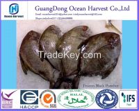 frozen Black Pomfret China