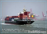 Ocean Freight Agent In Shenzhen China