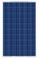 Poly-crystalline solar module / panel 280-320w