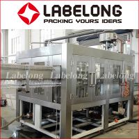 China Manufacture Automatic PET bottle Fresh Juice Filling/Packing Machine