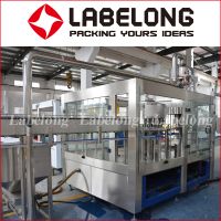 Zhangjiagang Automatic drinking /mineral Water/spring water filling/bottling Machine supplier