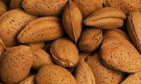 Chinese Almond