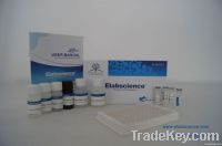 Human IgG Elisa kit