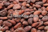 High  quality  COCOA BEANS (Best Quality) 