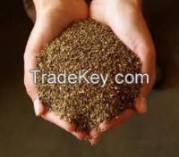 High  quality  Forage Grass Seeds 