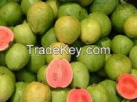 High  quality  Fresh Guava 