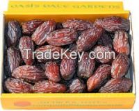 High  quality   medjool dates and red dates