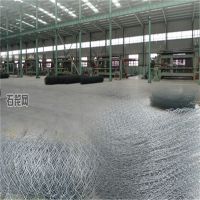 Hot Sale PVC Coated Iron Wire Gabion mesh