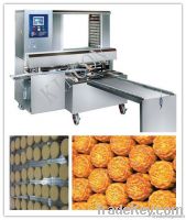 Automatic Aligning Machine and Tray Arranging Machine Disking machine