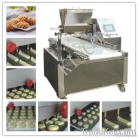 Fancy Biscuit Molding Machine, Molding Machine for Fancy Biscuits