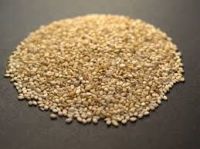 Humera Sesame Seeds
