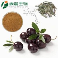 Olive Leaf Extract - Oleuropein