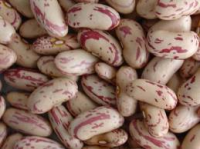 Red Speckled Kidney Beans