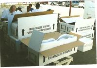 Yellow-fin Tuna Fish; Corral Trout (Lapu Lapu); Squid