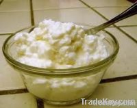 Cottage Cheese