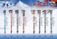 Trekking pole