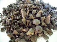 PALM KERNEL SHELL