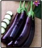 Eggplant