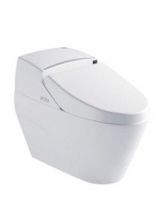 Ceramic Two Piece Washdown Water Closet 