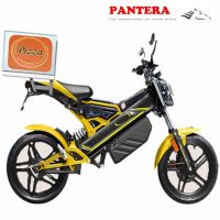 PT-E001 Cheap Popular Folding  Electric Bike