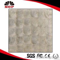 White Capiz Shell Mosaic Silver Mosaic Tile