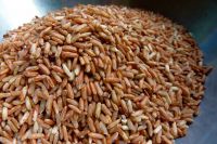 Red Brown Rice / Cargo Rice