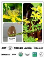 Anti-depressive 100% natural St. John&#039;s Wort  Extract Hypericins