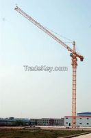 Stone Bolt Fixing Type Construction Tower Crane For Power Stations TC6013-6