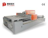 YAG Metal Laser Cutting Machine PYQG-YAG500-2513