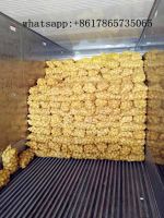 China new seaason fresh potato, yellow potato export