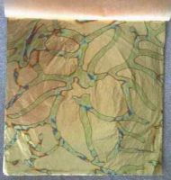 Italy book variegated leaf(JSC-18)