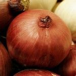 Onion