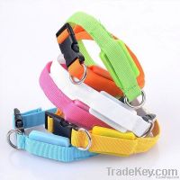 Colored LED Dog Collar For Small Dogs