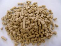 Cotton seed Meal  Powder 