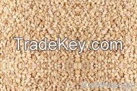 Oil Seeds, Forage Seeds, Oil Seeds, Castor Seeds, &Atilde;&Acirc;&nbsp;cotton seed Flax Seeds, Marigold&Atilde;&Acirc;&nbsp;seeds, Ginseng&Atilde;&Acirc;&nbsp;seeds, Stevia&Atilde;&Acirc;&nbsp;seeds, Strawberry&Atilde;&Acirc;&nbsp;seeds , Zinnia&Atil