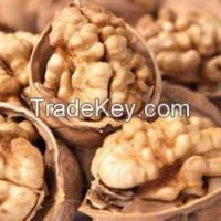 Walnut &amp; Walnut Kernel for sale/New crop Wholesale Walnut kernel price