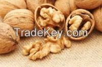 high quality raw walnuts with shell/without shell, Almond Nuts, Coffee Beans, Soybeans, Vanilla Beans, Apricot Kernels, Betel Nuts, Brazil Nuts, Chestnuts, Ginkgo Nuts, Hazelnuts, Macadamia Nuts, Bold Peanuts Blanch Peanuts Red skin peanuts&Acirc;&nbsp;&A