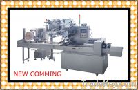 DZP250E Pillow Packing Machine