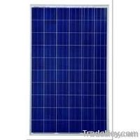 230W Poly Solar Panel
