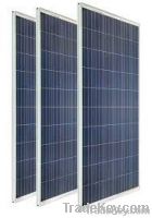 High efficient with CE RoHS ISO certification 250W Poly PV Solar Panel