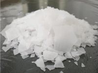 Caustic Soda supplier