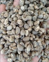 Green Bean Arabica Mandhailing Grade 1 DP  Single Origin North Sumatera Indonesia