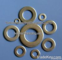 Flat Washers