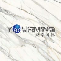 60x60 pocelain calacatta carla china tile